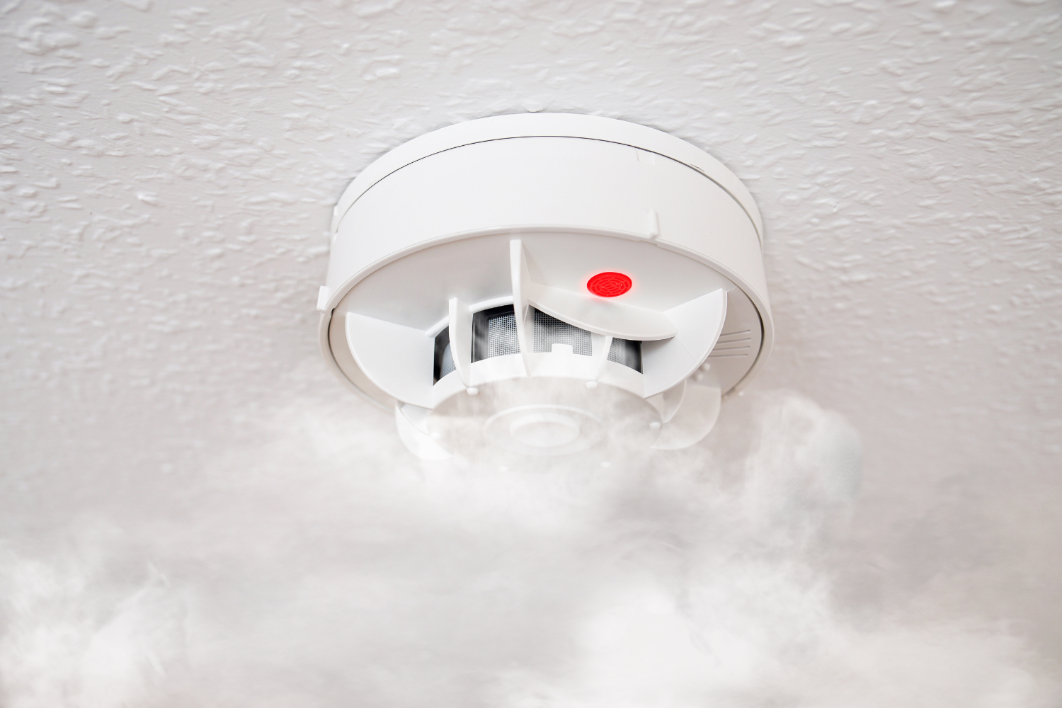 Fire Safety Early Detection System