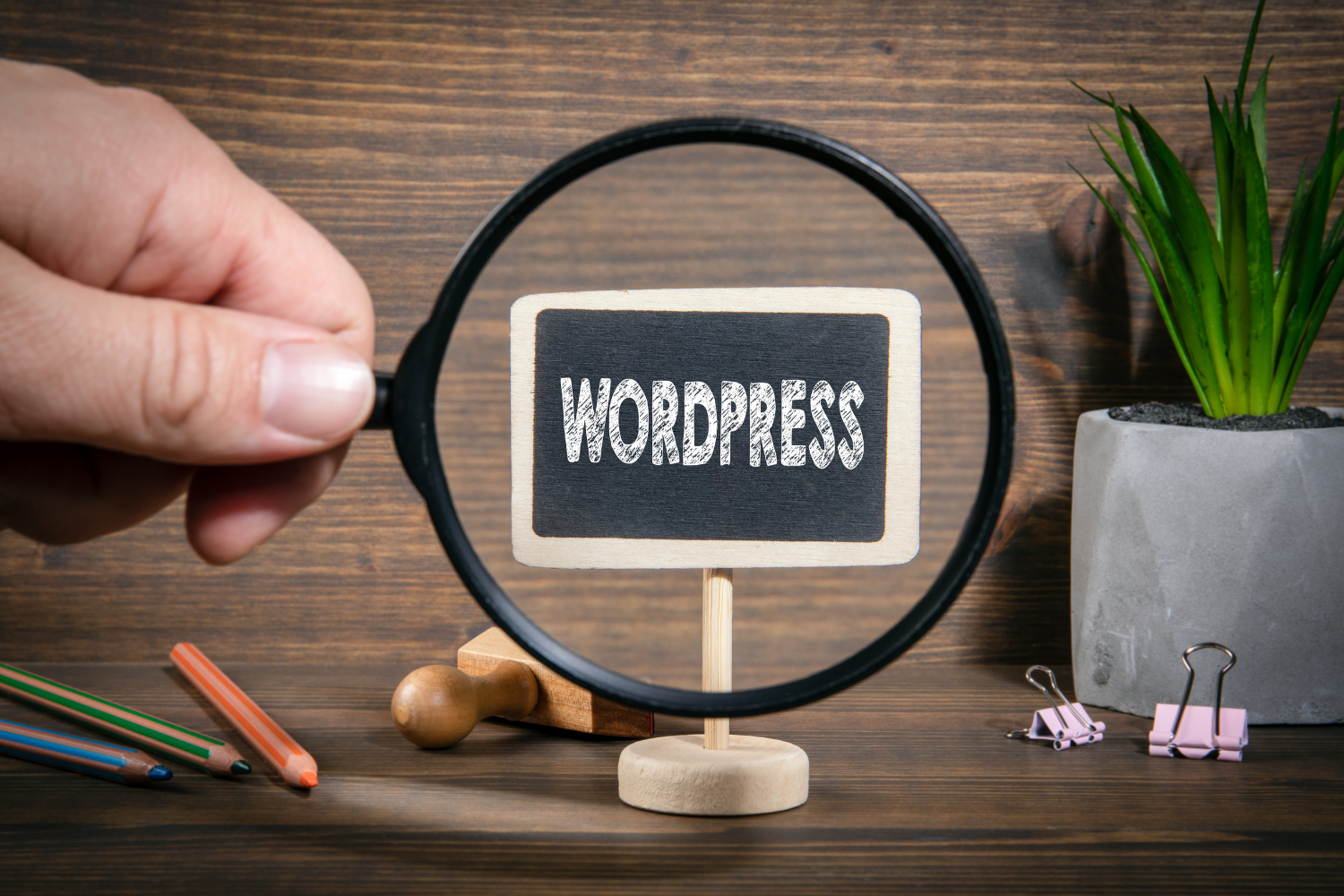 WordPress Website Development